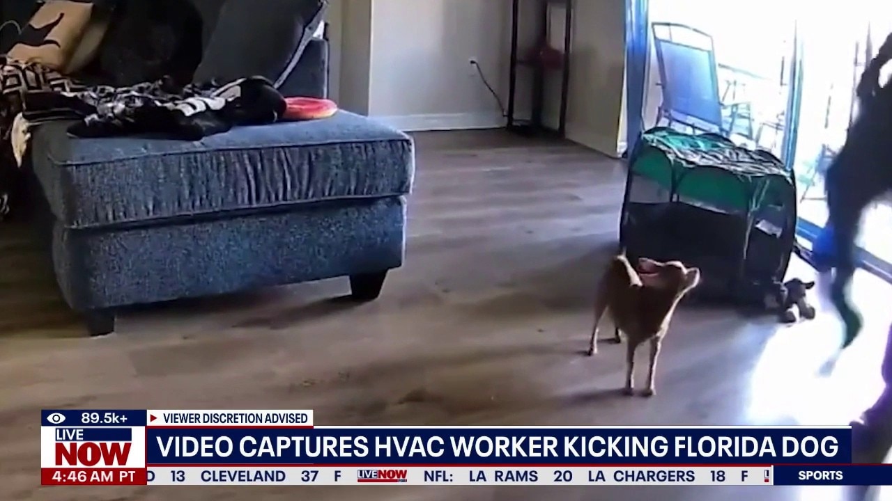 Caught on camera: HVAC worker accused of kicking dog