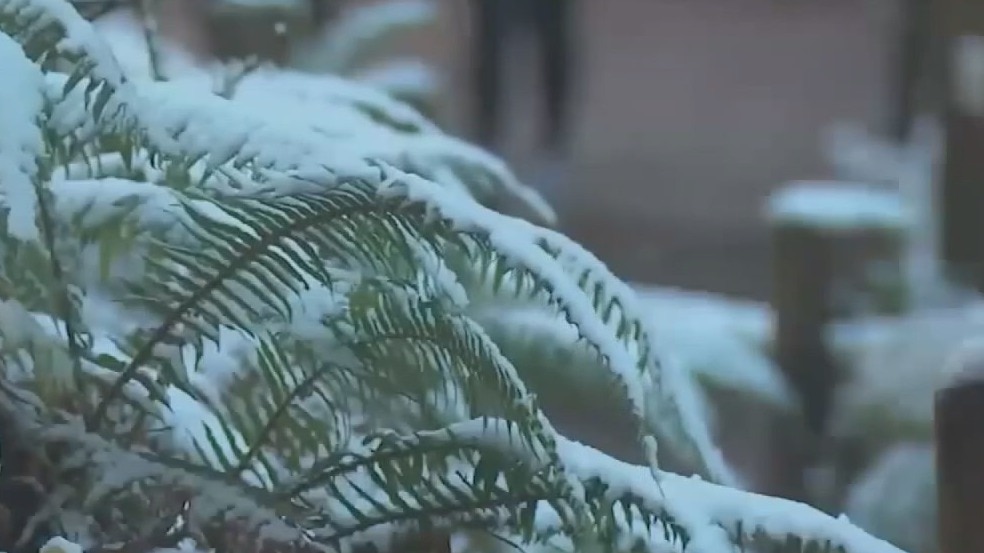 Rare snowfall covers western United States