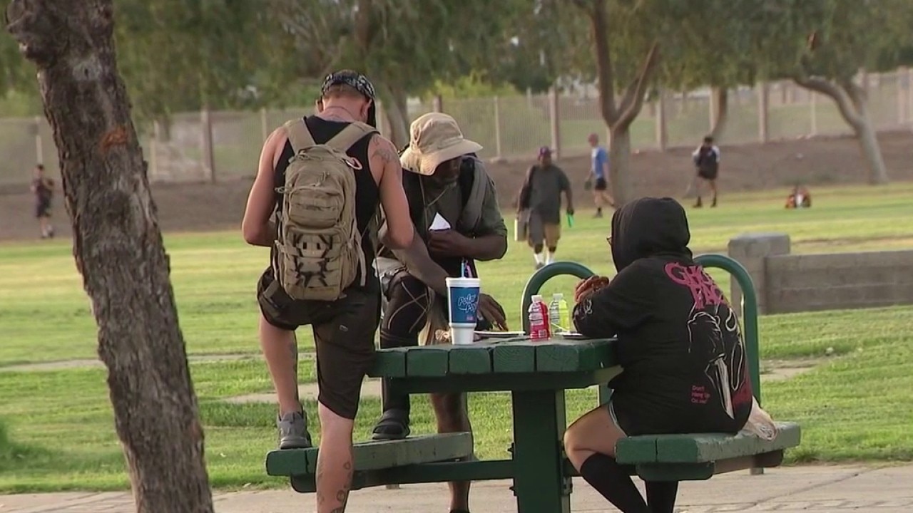 Lawsuit challenges Phoenix park aid ordinance