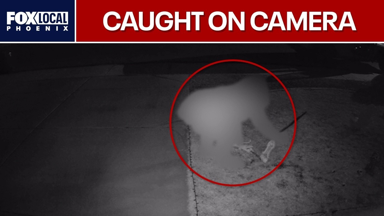 'Halloween Grinch' targets Surprise yards