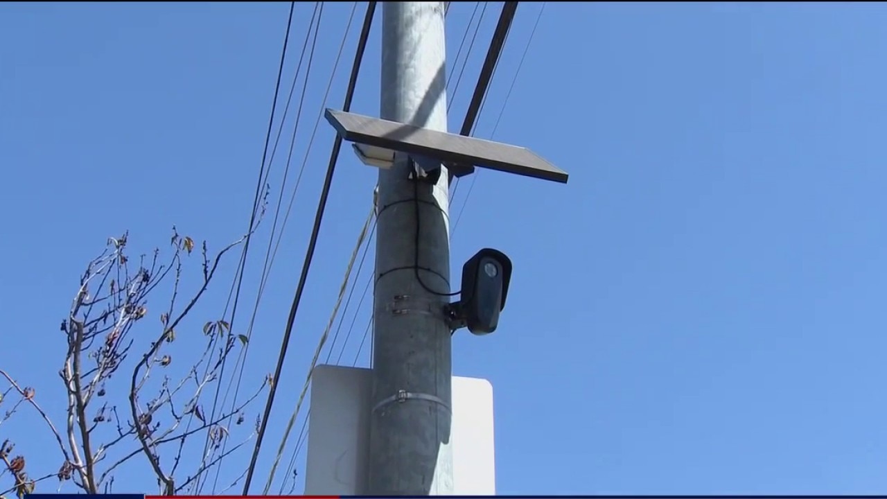 Poll shows SF likes cams
