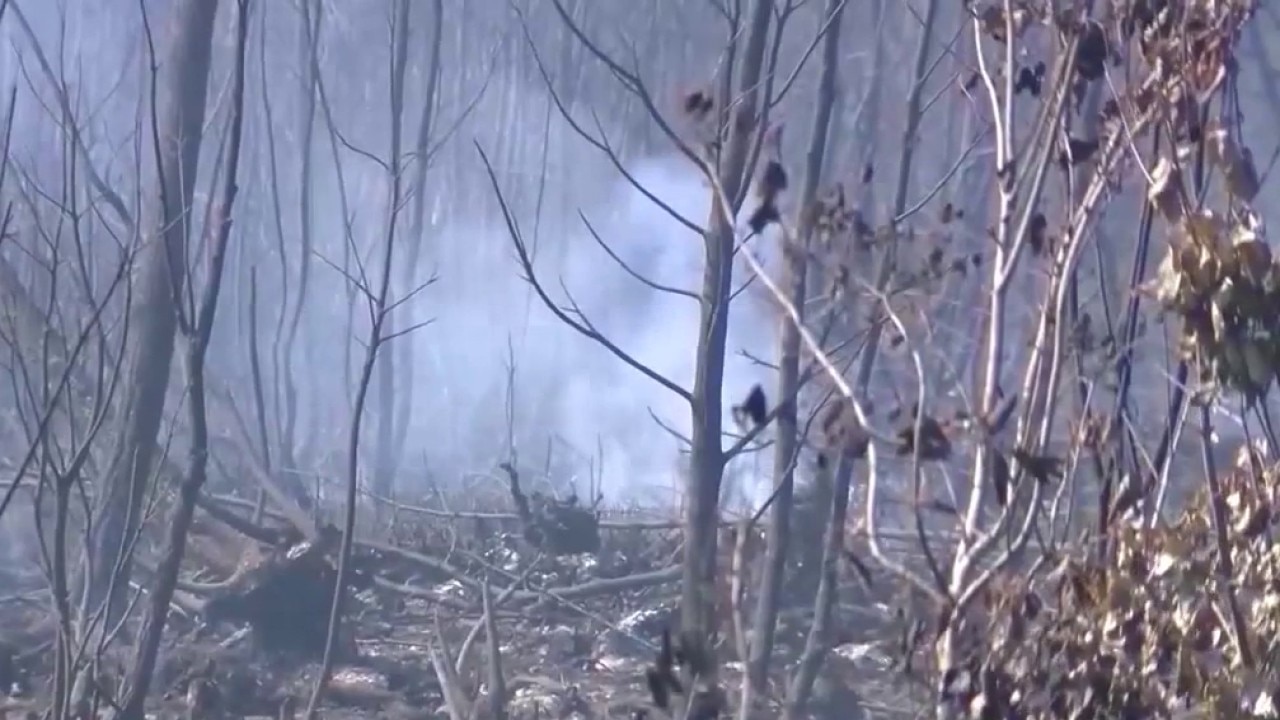 Wildfire update: Progress reported in South Georgia