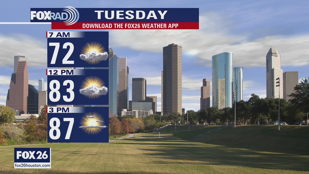 Warm and humid week