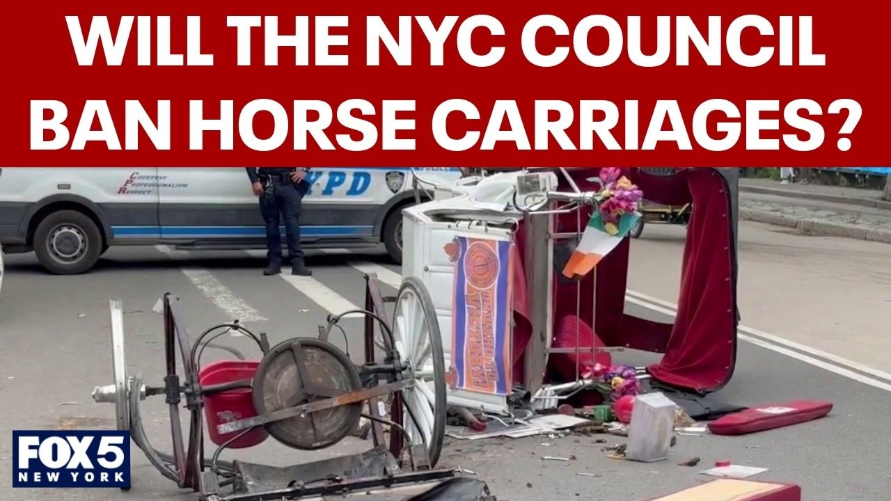 NYC Council will soon vote on proposal to ban horse carriages
