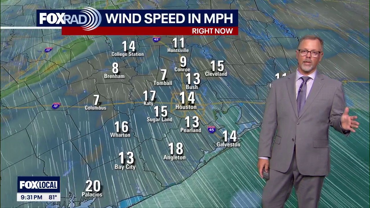 Houston weather: May 17 overnight forecast
