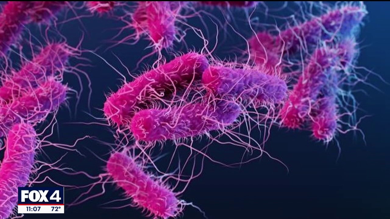 E. coli cases linked to State Fair of Texas rising