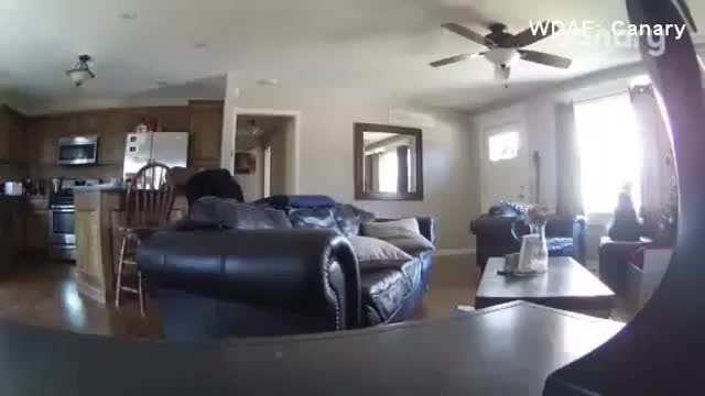 It's terrifying:" Firefighter watches live as his home is robbed while he's on duty
