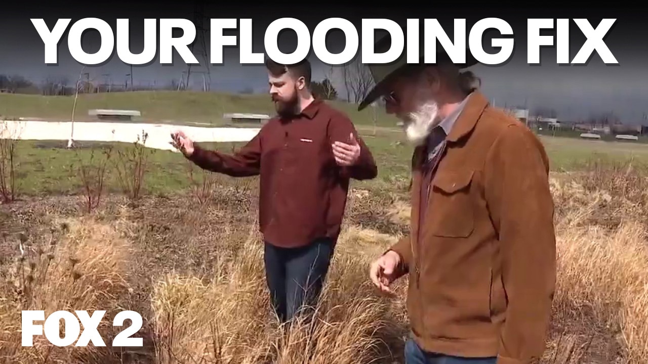 Bees, Rain Gardens, and Rouge River paddling | Brother Nature