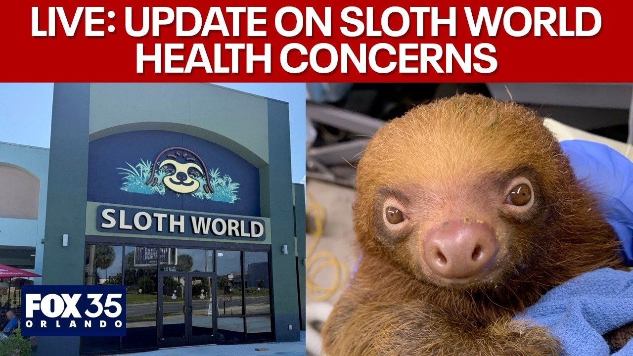 Sloth World health update after 50+ sloths die | Full