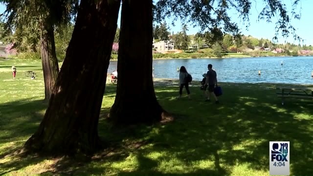 Parks storm closure proposal
