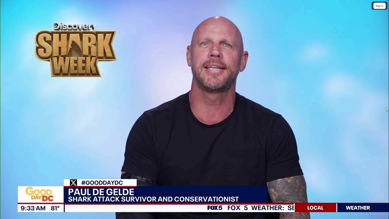 Shark Week returns to Discovery Channel 