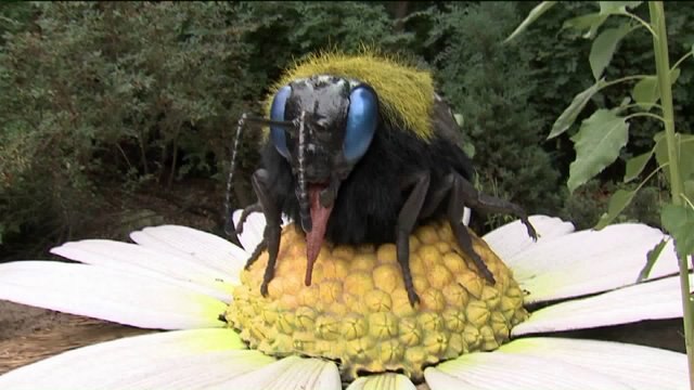 Kramp learns all about a new exhibit at the Milwaukee County Zoo