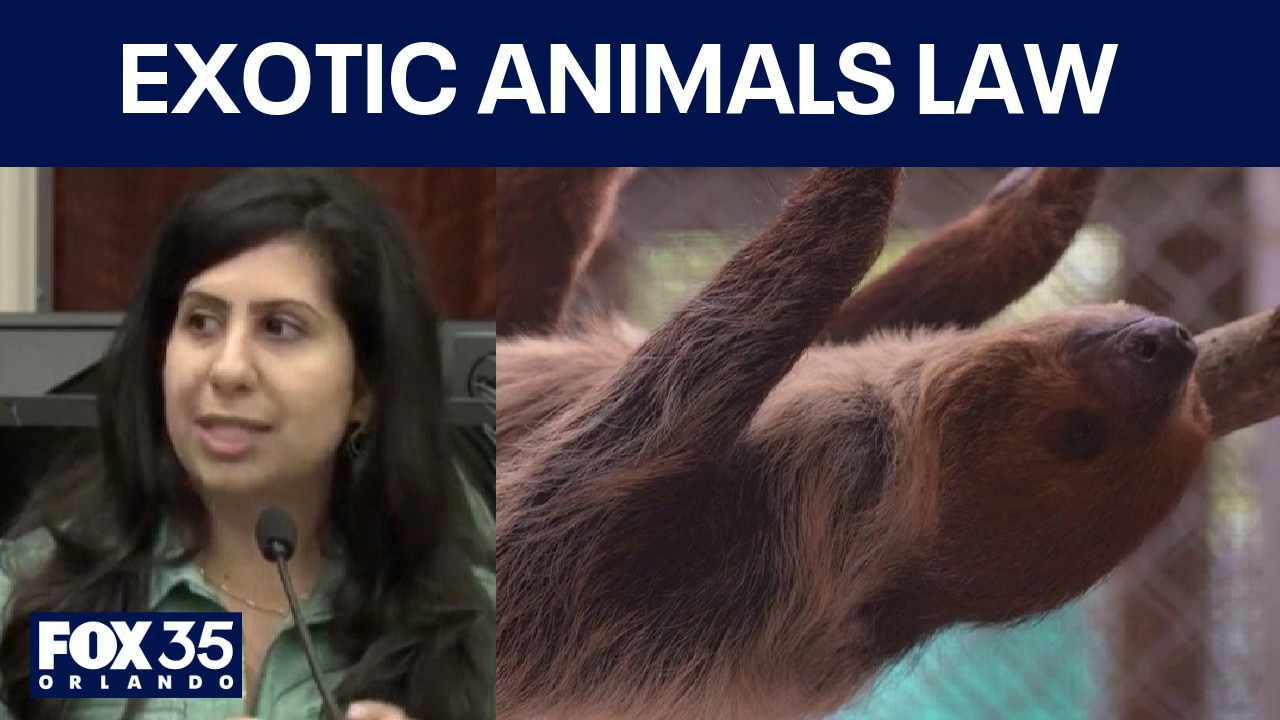 Orange County pushes to prevent future mistreatment of exotic animals