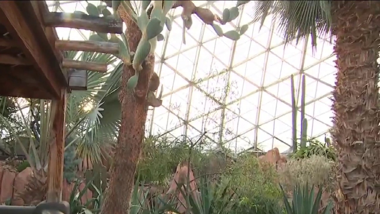 Take a step inside history 