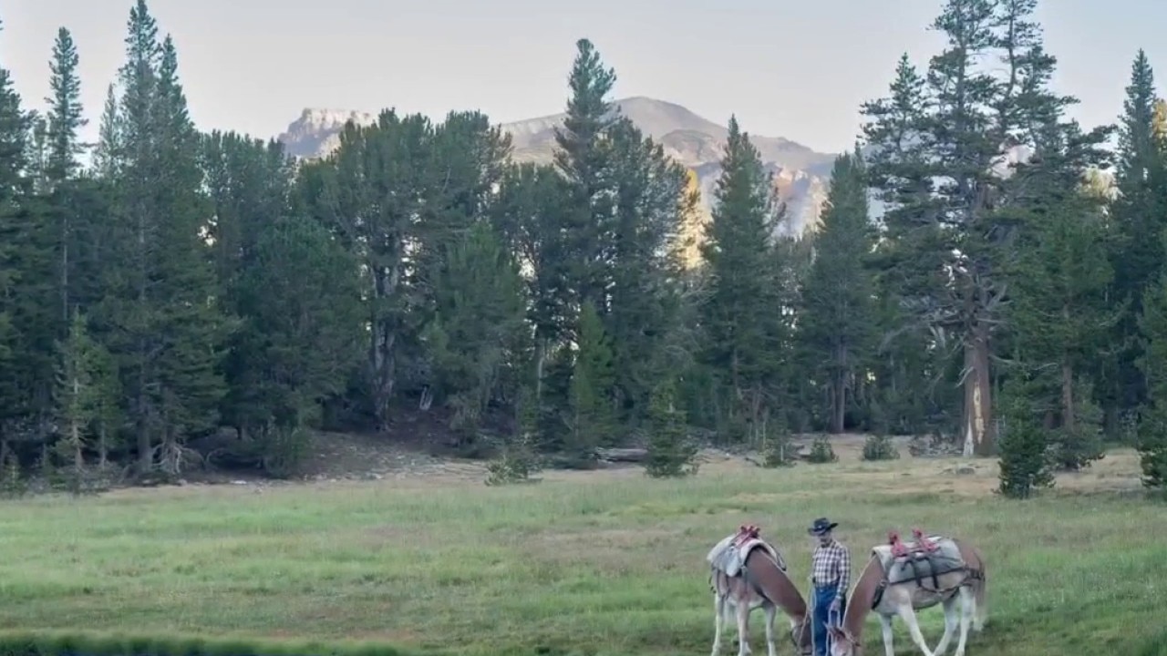 Hiking John Muir Trail: Austin Travels
