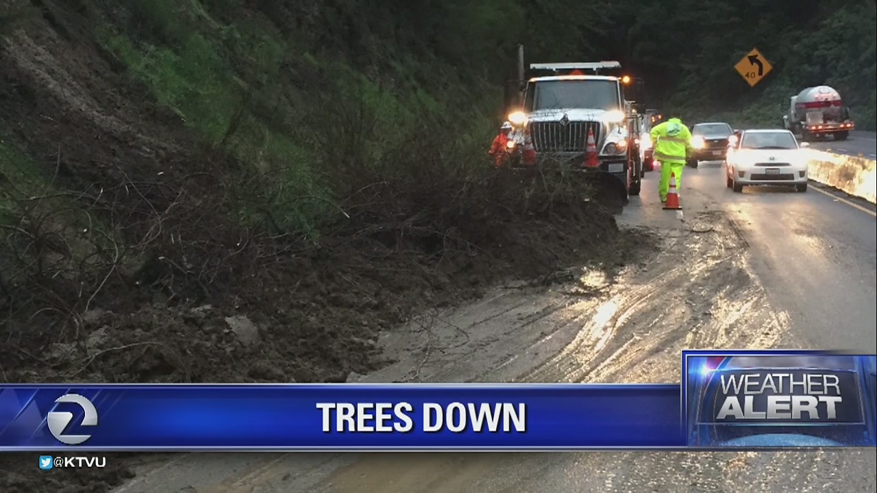 Strong winds knock down trees in Saratoga
