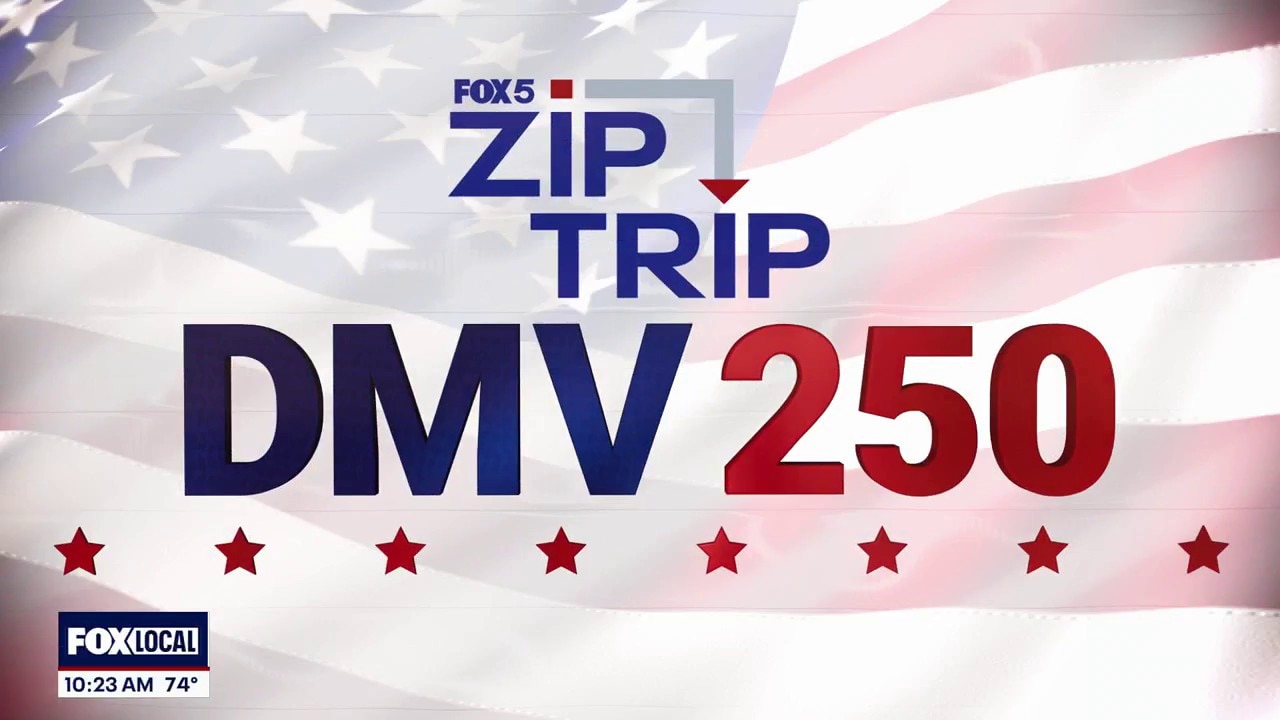 Zip Trip to The Wharf