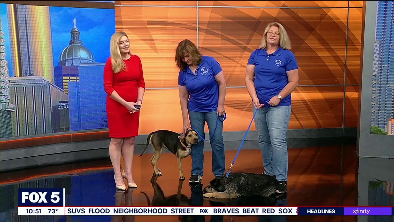 Pet of the day: Otto & Gabriella