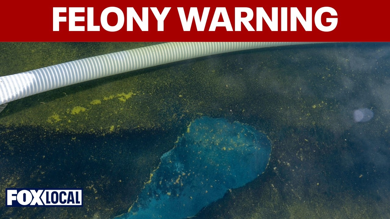 Felony warning issued as arrests reported at Reflecting Pool