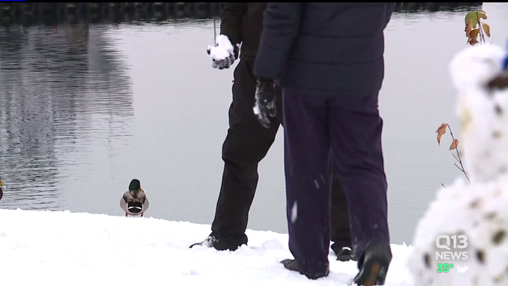 Folks enjoy rare Seattle snow on Christmas