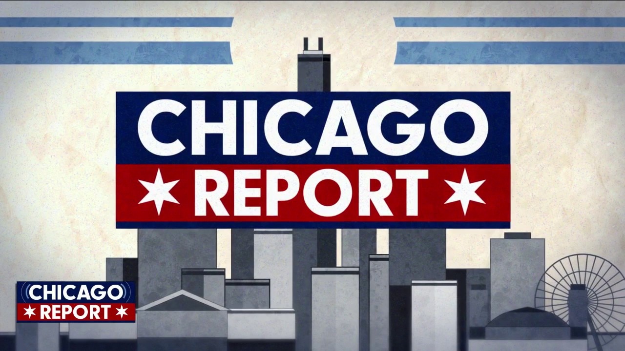 Illinois' assault weapons ban, school board ballot brawl | The Chicago Report