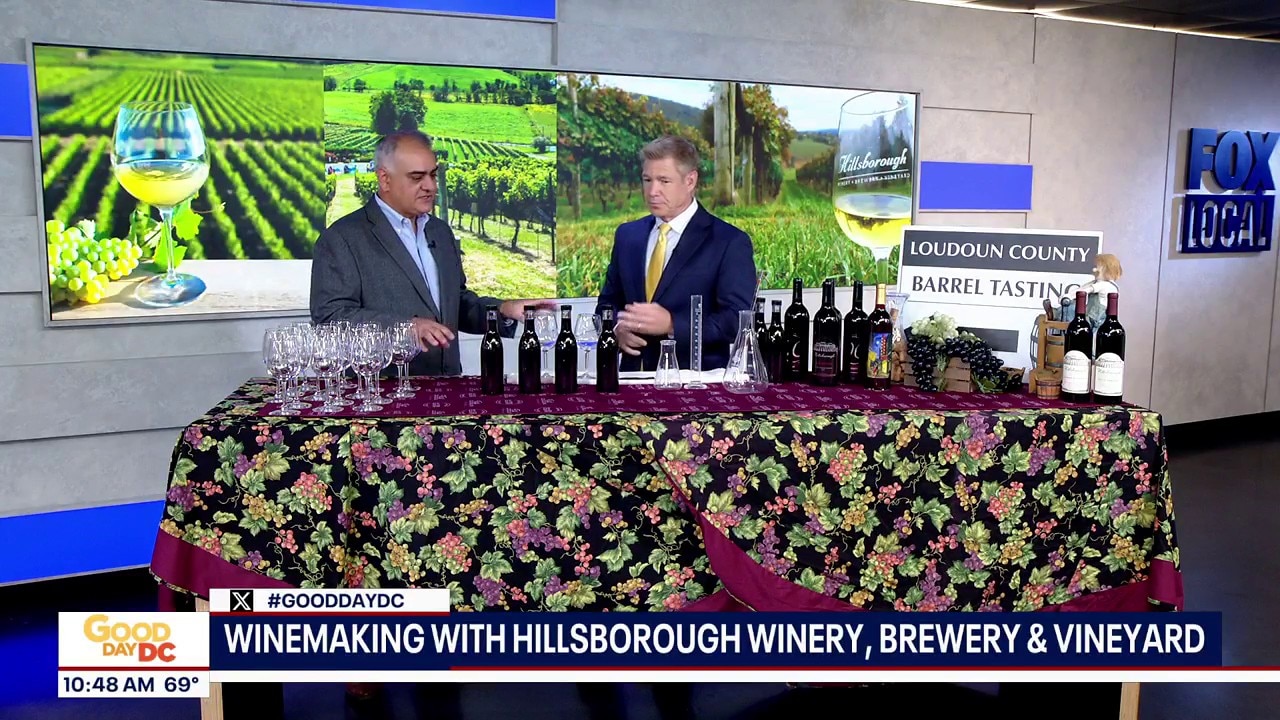 Winemaking with Hillsborough Winery, Brewery & Vineyard