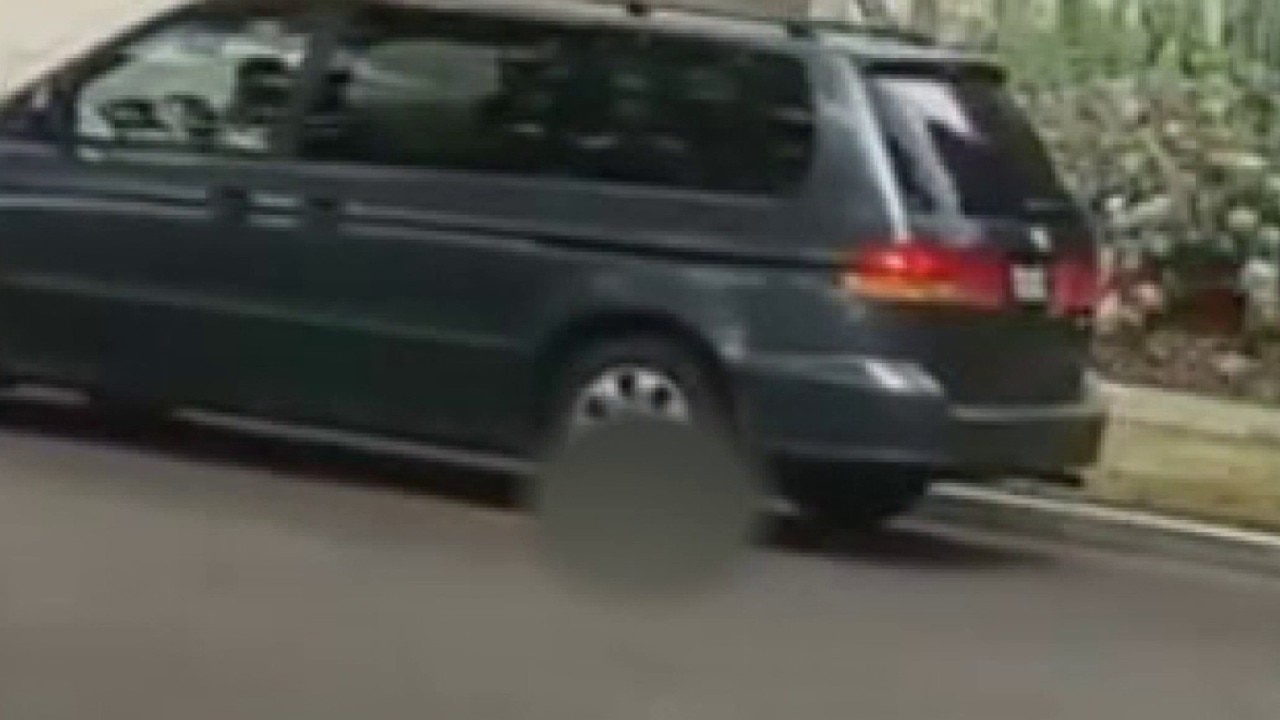 Woman caught on video running over puppy
