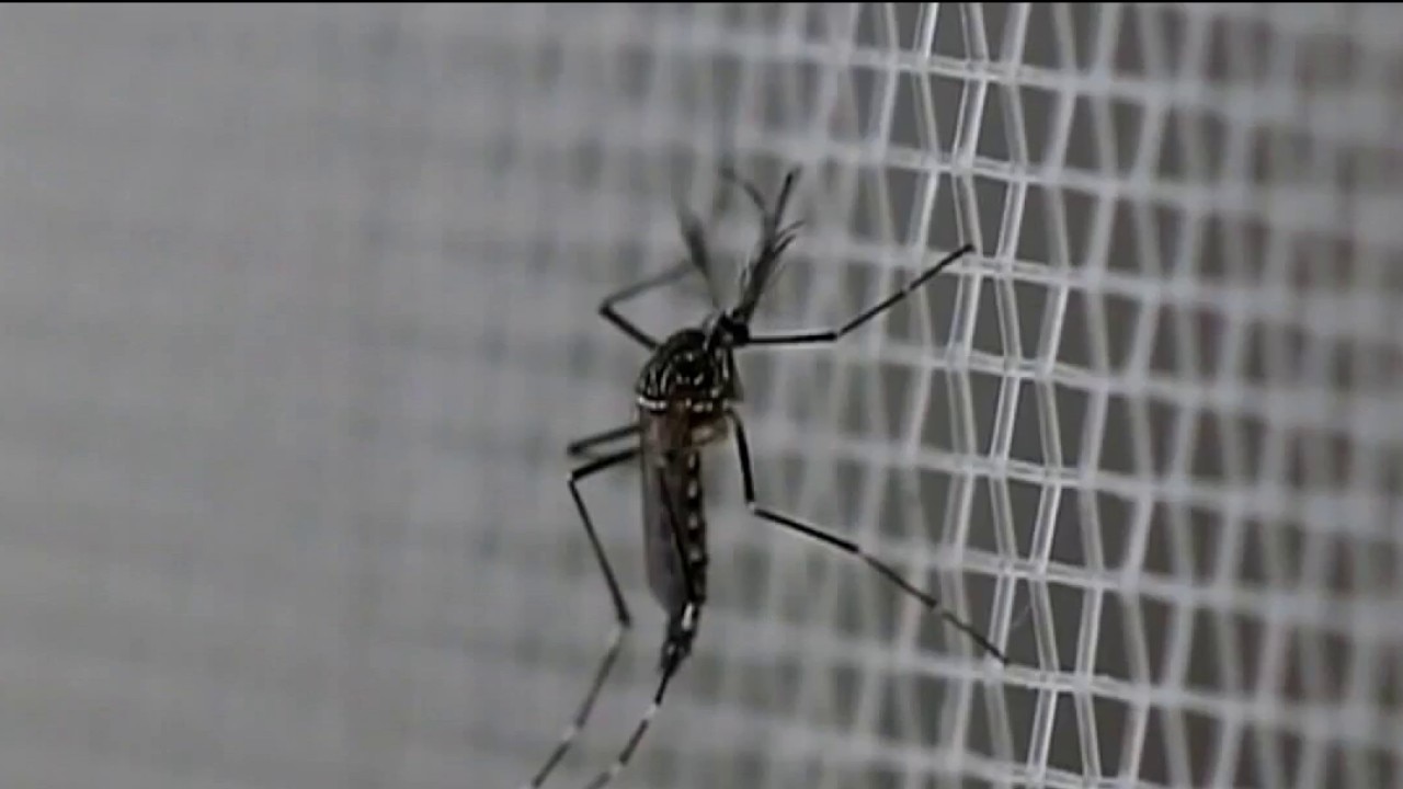 Possible strategies in the battle with mosquitos 