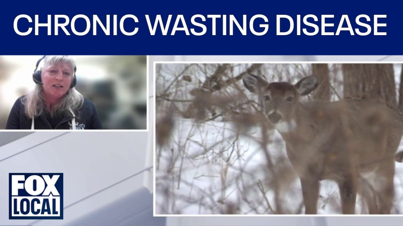 DNR adds 5 counties to deer feeding, attractant ban