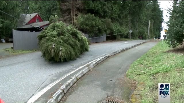 Wind blows out power