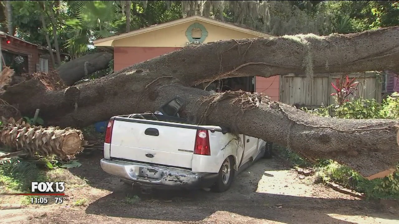 Massive tree damages Seminole Heights homes