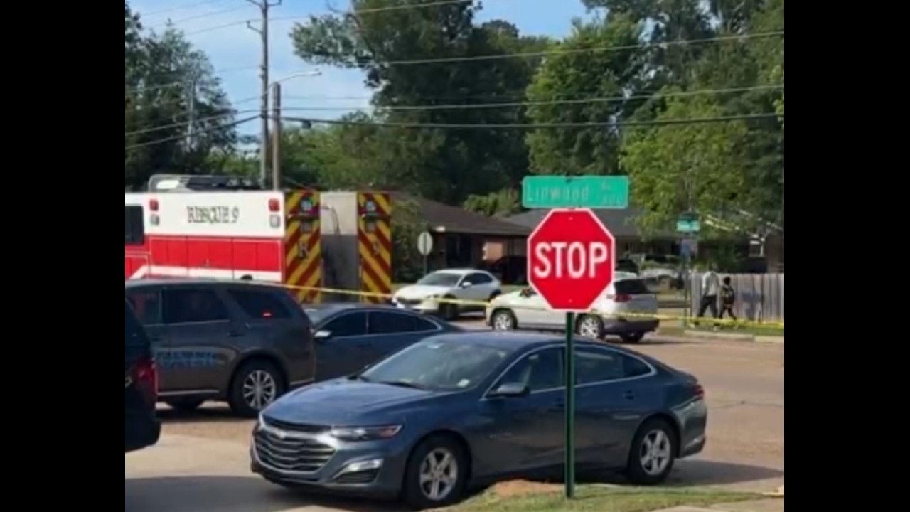 8 children killed in Louisiana shooting