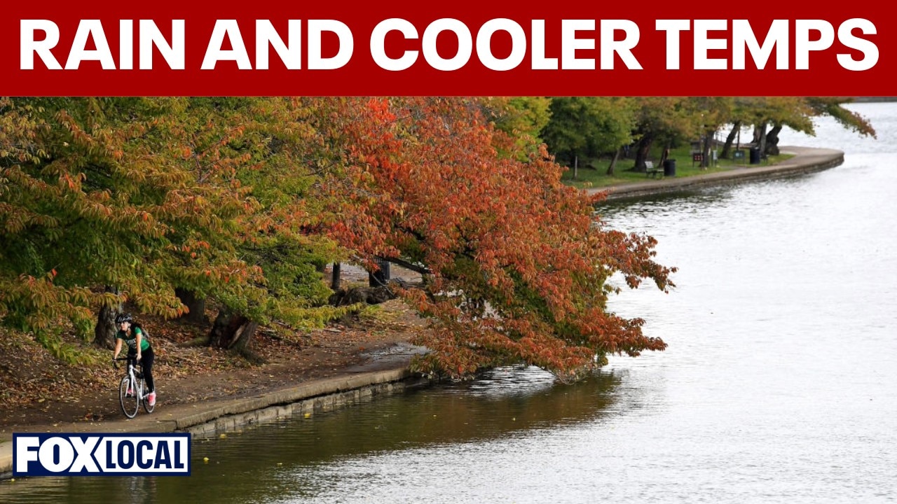 Cooler temperatures and frequent rain expected across DC area this week