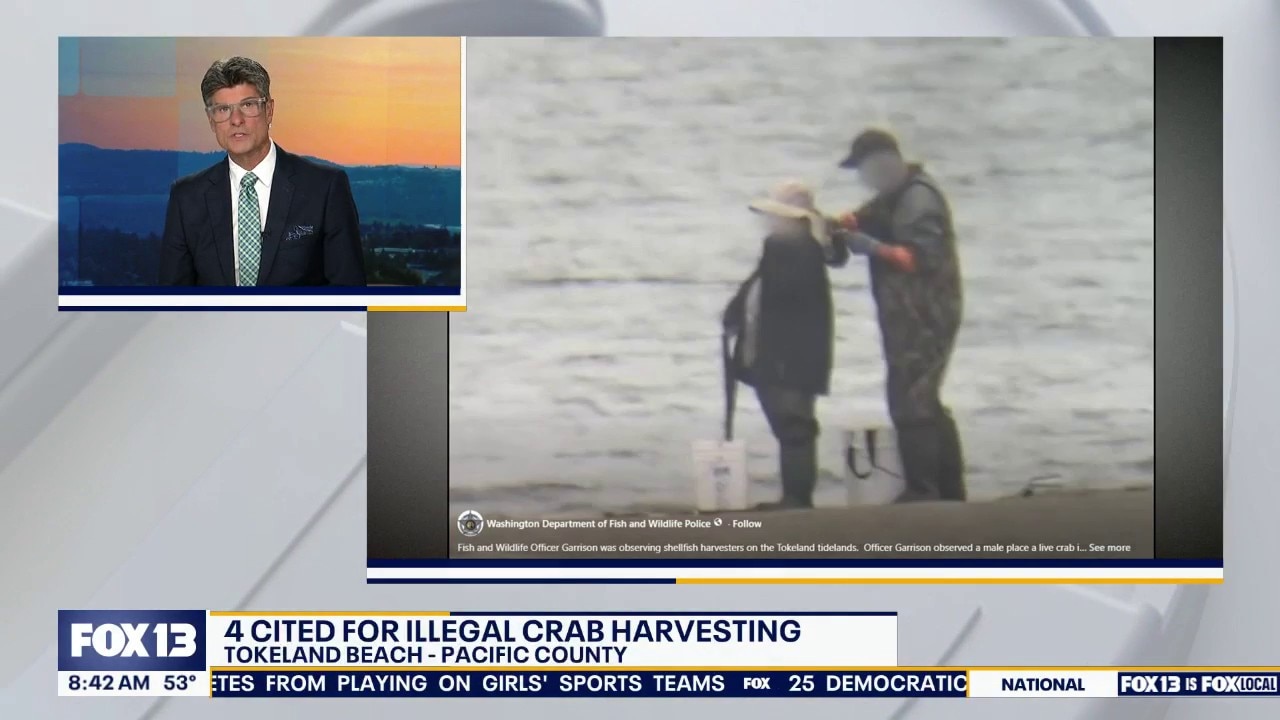 4 cited for illegal crab harvesting in WA
