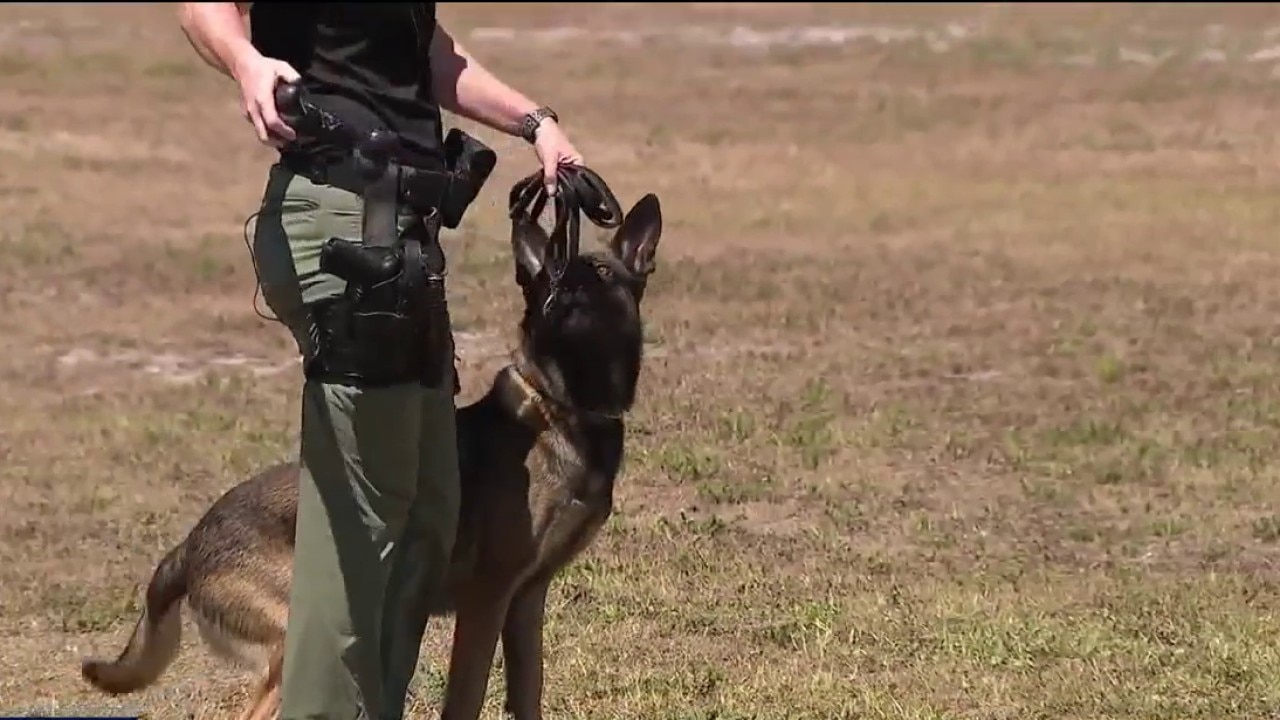  HCSO's new canine training complex