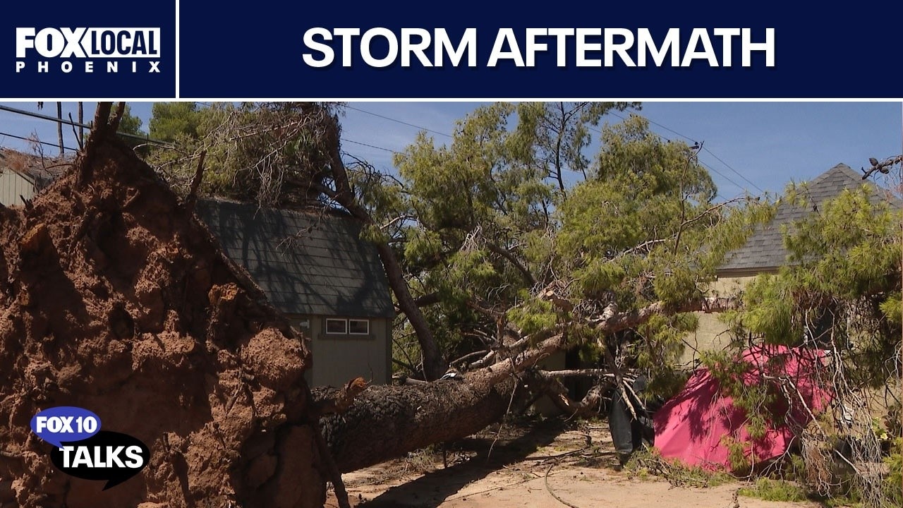 Monsoon cleanup continues; heat safety tips l FOX 10 Talks