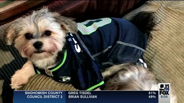 Wild animal attacks family pets
