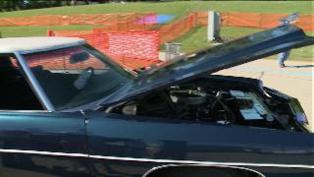 Chip checks out activities at Bastille Days