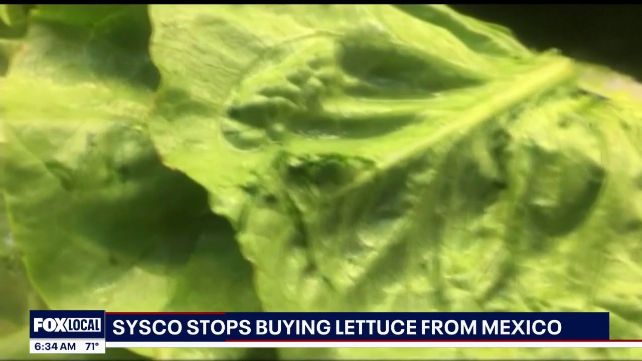 Lettuce from Central Mexico by Taylor Farms no longer being bought by Sysco
