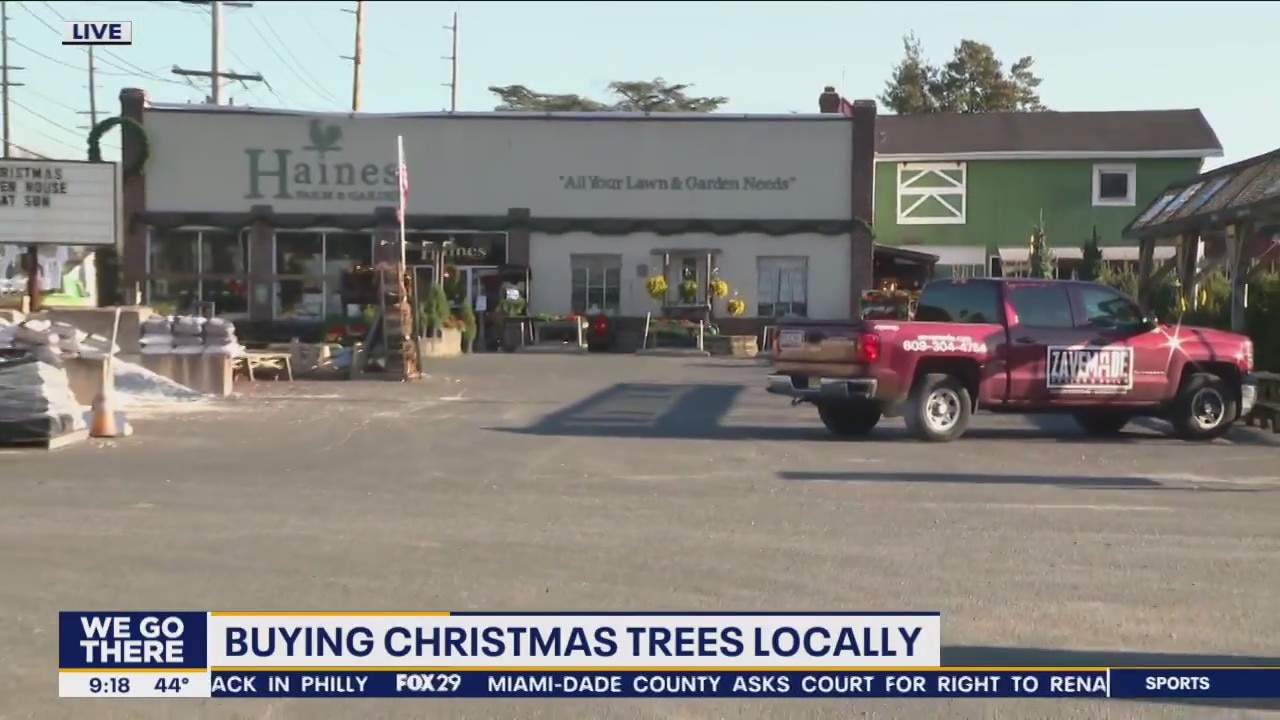 Local Christmas tree vendors prepping for post-Thanksgiving rush