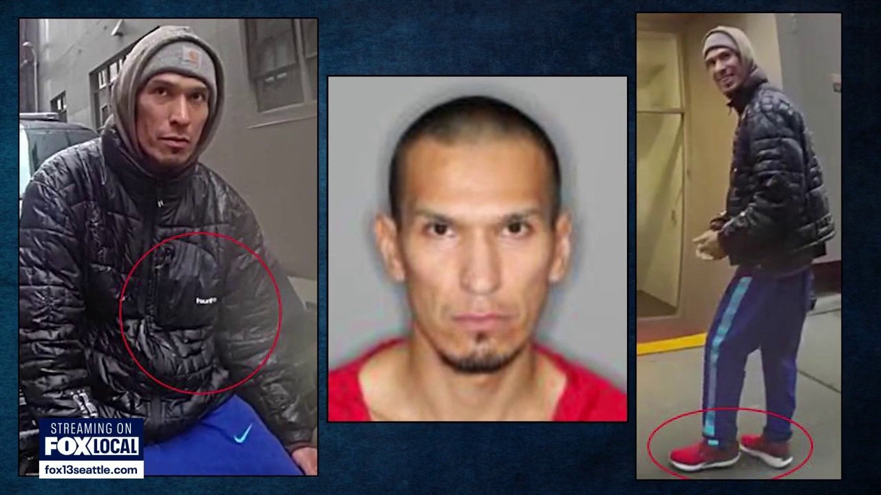 Bodycam shows arrest of Bellevue burglary suspect