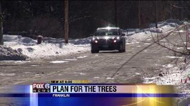 Franklin residents concerned about losing trees in road project