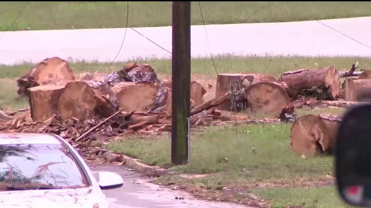 Texas volunteers travel to Florida to provide free tree removal after Hurricane Isaias.