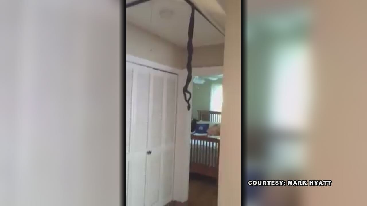 Snakes descend from ceiling of man's home
