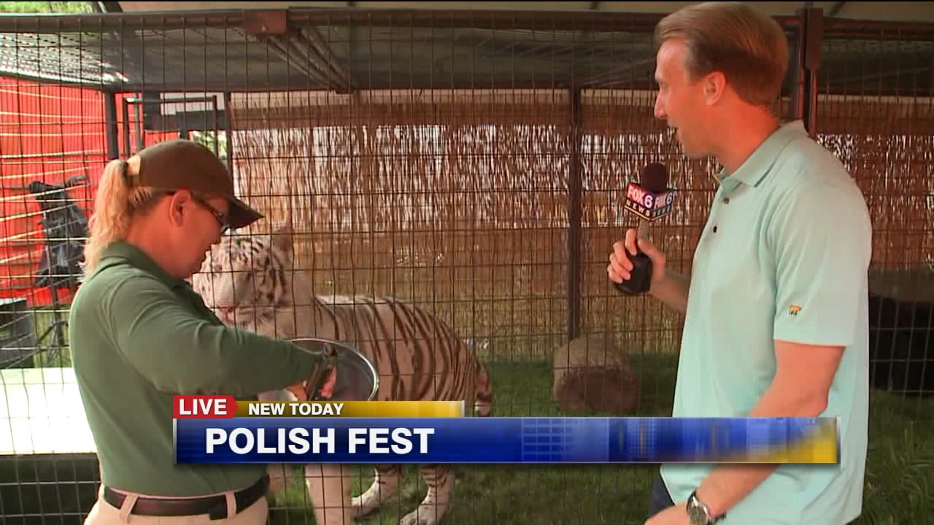 Carl previews Polish Fest