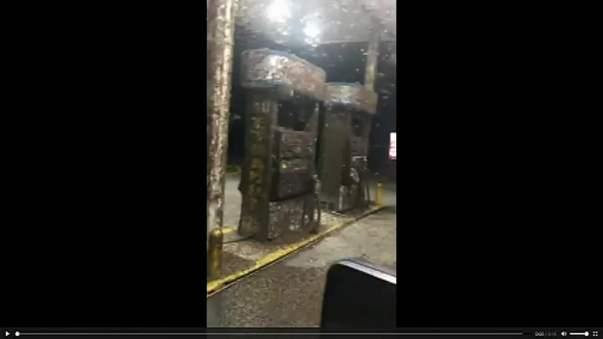 Mayflies swarm gas station