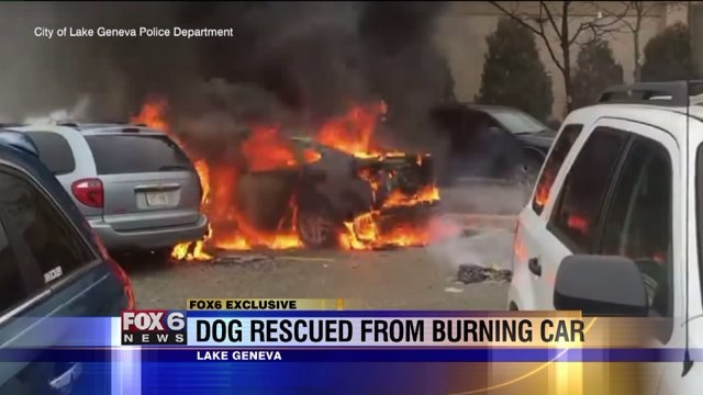 She wasn`t doing too well: Dog resuscitated after raging fire involving 5 vehicles in Lake Geneva