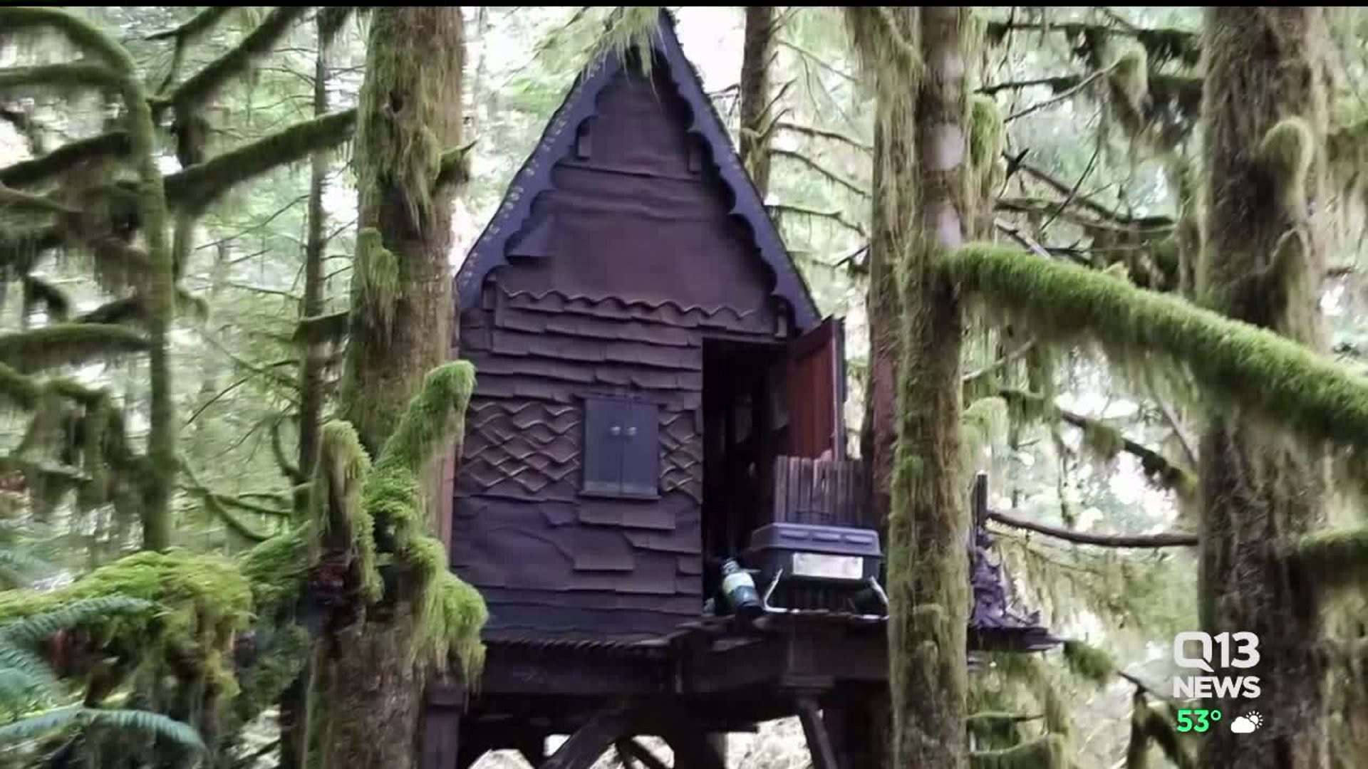 State employee talks about finding `gingerbread` treehouse of porn