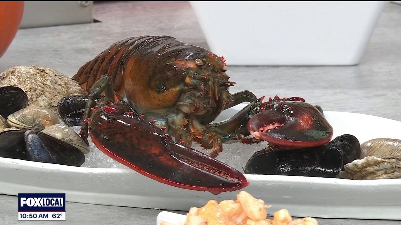 Holiday Market’s 22nd Annual Lobsterfest brings fresh seafood boils to Royal Oak