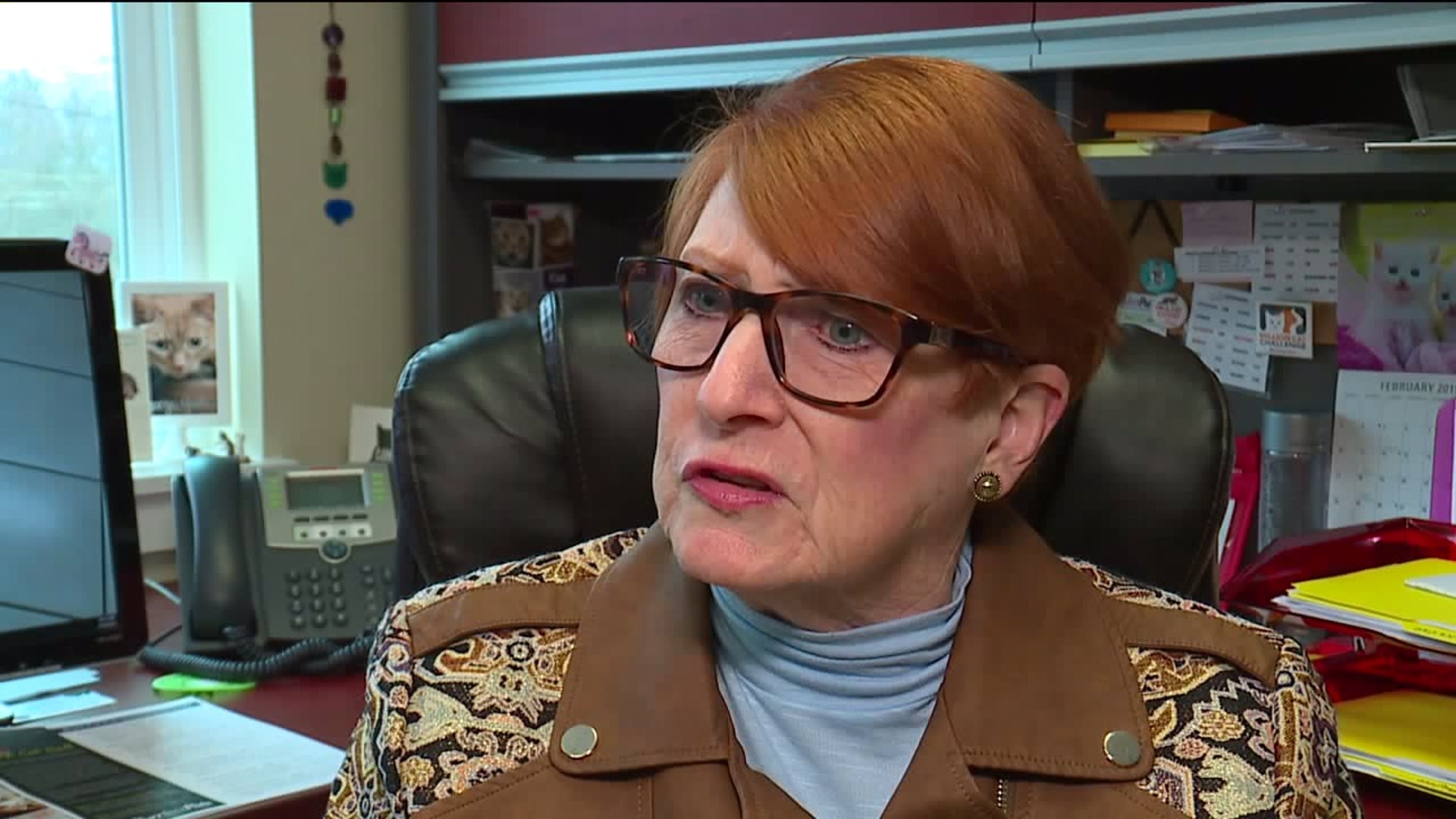 Meet Bob Billy and Ray Kyle! #Whynotmepets